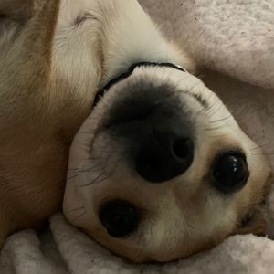 Meet your Posher, Sonia